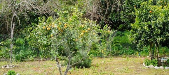 Casa de 2 dormitorios en Monchique, Portugal No. 86049 50