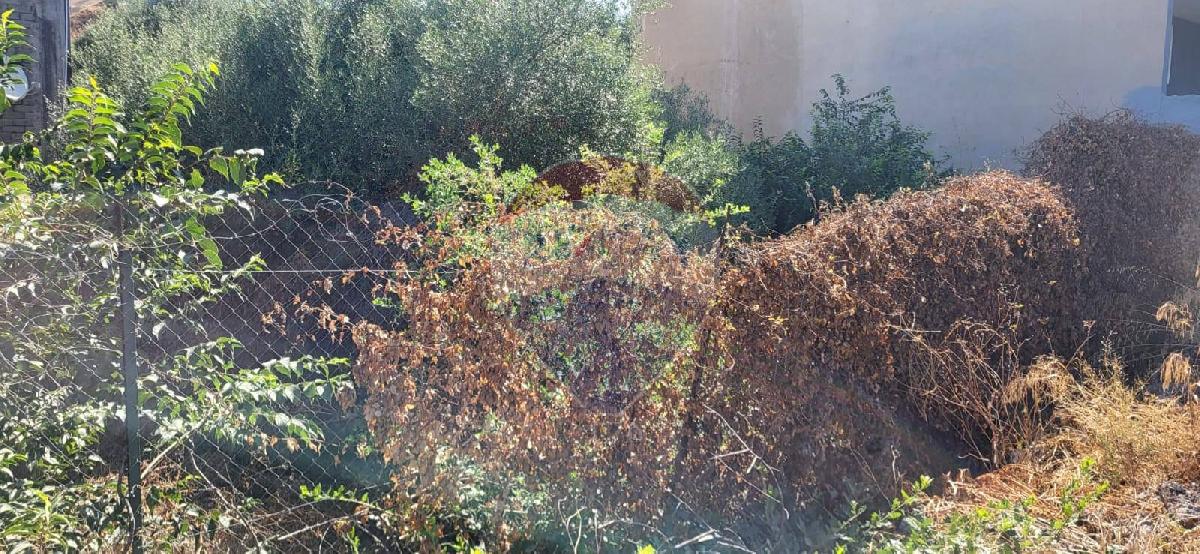 Terreno em Paterno, Italy 450 m² N.º 318980