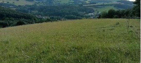  Land in Neulengbach, Austria No. 87233 2