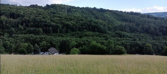  Land in Neulengbach, Austria No. 87233 4