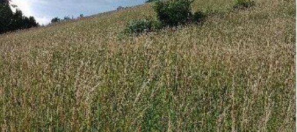  Land in Neulengbach, Austria No. 87233 6