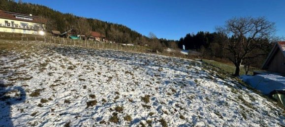  Land in Liebenfels, Austria No. 46162 4