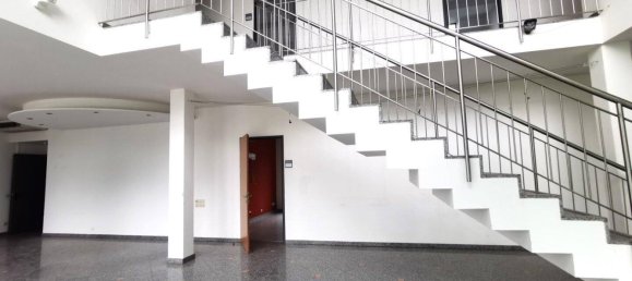  مكتب في Perchtoldsdorf, Austria 1663متر مربع رقم 180692 6