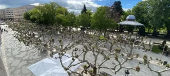 1 bedroom Apartment in Burgos, Spain No. 75083 11