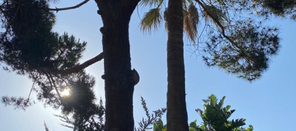 Вилла с 4 спальнями в Марбелья, Испания № 140772 18