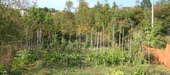 3 غرف نوم فيلا في Riccò del Golfo di Spezia, Italy رقم 229048 34