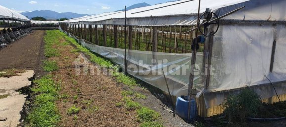 Grundstück in Boscoreale, Italy 3388m², Nr. 319216 13