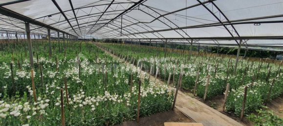 Grundstück in Boscoreale, Italy 3388m², Nr. 319216 19