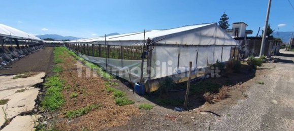 Grundstück in Boscoreale, Italy 3388m², Nr. 319216 17