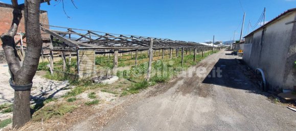 Grundstück in Boscoreale, Italy 3388m², Nr. 319216 5