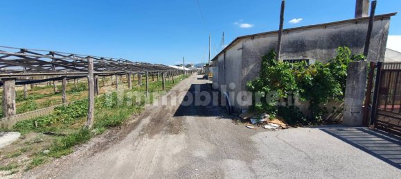 Grundstück in Boscoreale, Italy 3388m², Nr. 319216 7