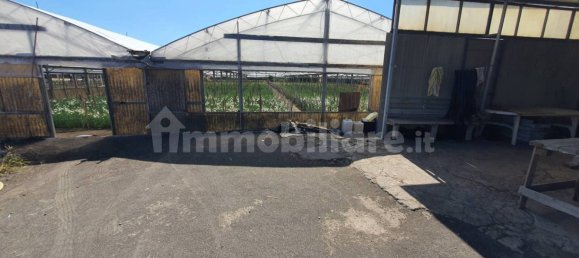 Grundstück in Boscoreale, Italy 3388m², Nr. 319216 8