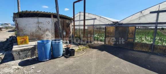 Grundstück in Boscoreale, Italy 3388m², Nr. 319216 10