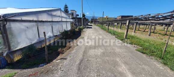 Grundstück in Boscoreale, Italy 3388m², Nr. 319216 18