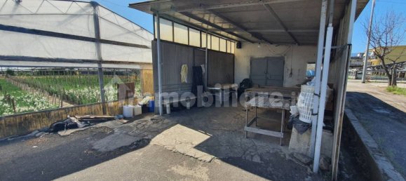 Grundstück in Boscoreale, Italy 3388m², Nr. 319216 9