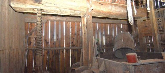 4-Zimmer Haus in Straden, Austria, Nr. 7601 6