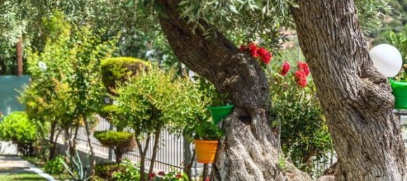 Hotel in Thasos, Greece 404m², Nr. 94547 7