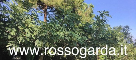 5 rooms Villa in Soiano del Lago, Italy No. 65789 20