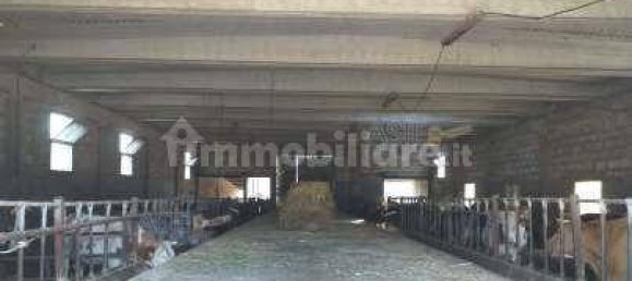 Квартира с 6 спальнями в Рагуза, Италия № 49299 6