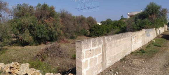 1غرفة قطعة أرض في Maruggio, Italy رقم 33750 7