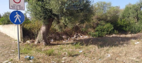 1غرفة قطعة أرض في Maruggio, Italy رقم 33750 5