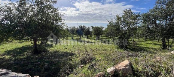 5 غرف نوم منزل في Noto, Italy رقم 190424 44