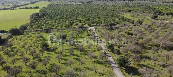 5 غرف نوم منزل في Noto, Italy رقم 190424 73