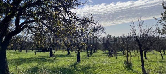 5 غرف نوم منزل في Noto, Italy رقم 190424 40