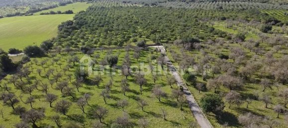 5 غرف نوم منزل في Noto, Italy رقم 190424 46