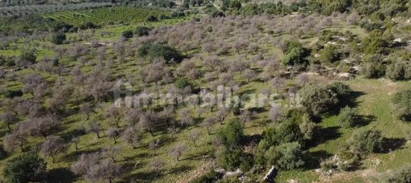 5 غرف نوم منزل في Noto, Italy رقم 190424 25