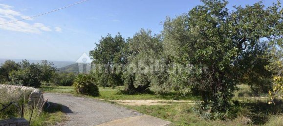 5 غرف نوم منزل في Noto, Italy رقم 190424 2