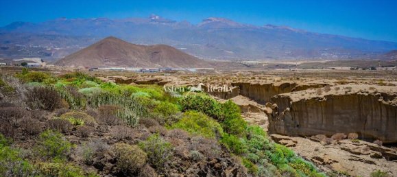 Земельный участок 1288м² в Сан-Мигель-де-Абона, Испания № 162740 10