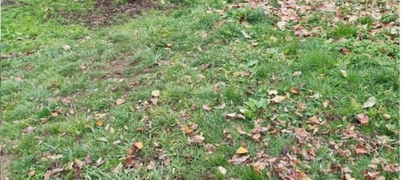 5 rooms Apartment in Bisuschio, Italy No. 47020 16