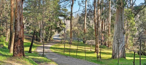 5 غرف نوم منزل في Upwey, Australia رقم 695 17