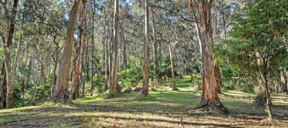 5 غرف نوم منزل في Upwey, Australia رقم 695 23