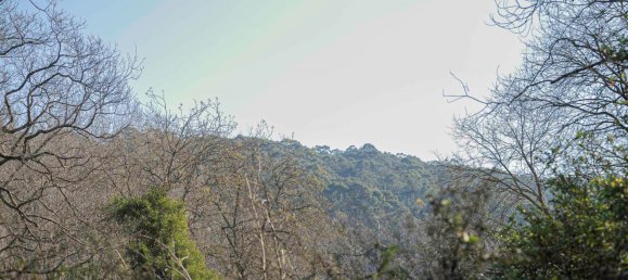 5 غرف نوم منزل في Upwey, Australia رقم 695 24