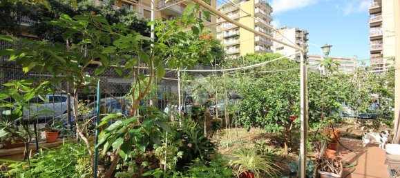 5-Zimmer Wohnung in Palermo, Italy, Nr. 119506 7