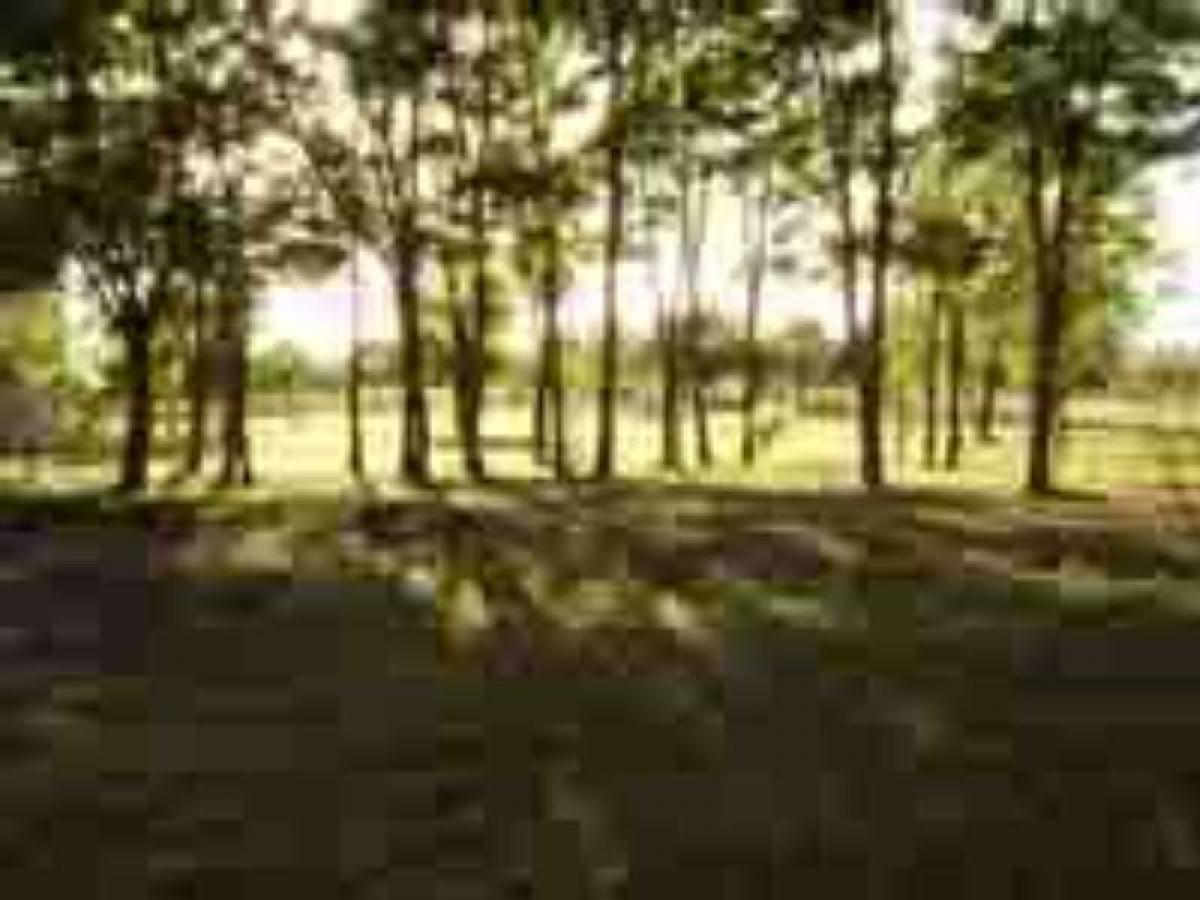 Terrain à Cordoba, Argentina No. 36965