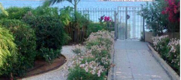 استوديو في Limassol, Cyprus رقم 24802 3