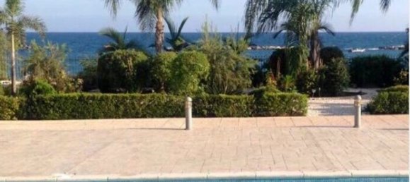 استوديو في Limassol, Cyprus رقم 24802 2