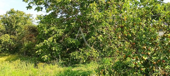 Terrain à Saint-Aignan, France 2163m² No. 254146 5