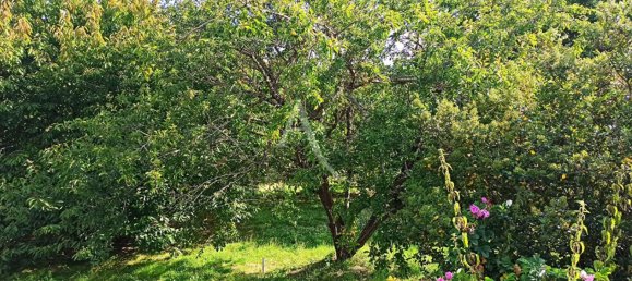 Terrain à Saint-Aignan, France 2163m² No. 254146 3