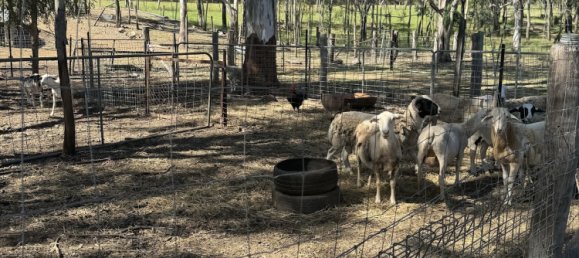 Ферма с 2 спальнями в Ellesmere, Австралия № 999 17