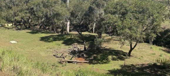 Ферма с 2 спальнями в Ellesmere, Австралия № 999 14