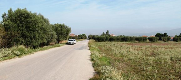 11600m² Hotel in Thermi, Greece No. 6930 7