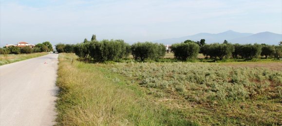 11600m² Hotel for sale in Thermi, Thessaloniki, Central Macedonia, Macedonia and Thrace, Greece № 6930 2