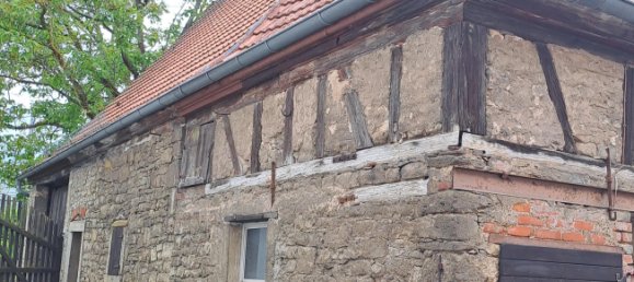 Замки и поместья с 6 комнатами в Вюрцбург, Германия № 118320 8