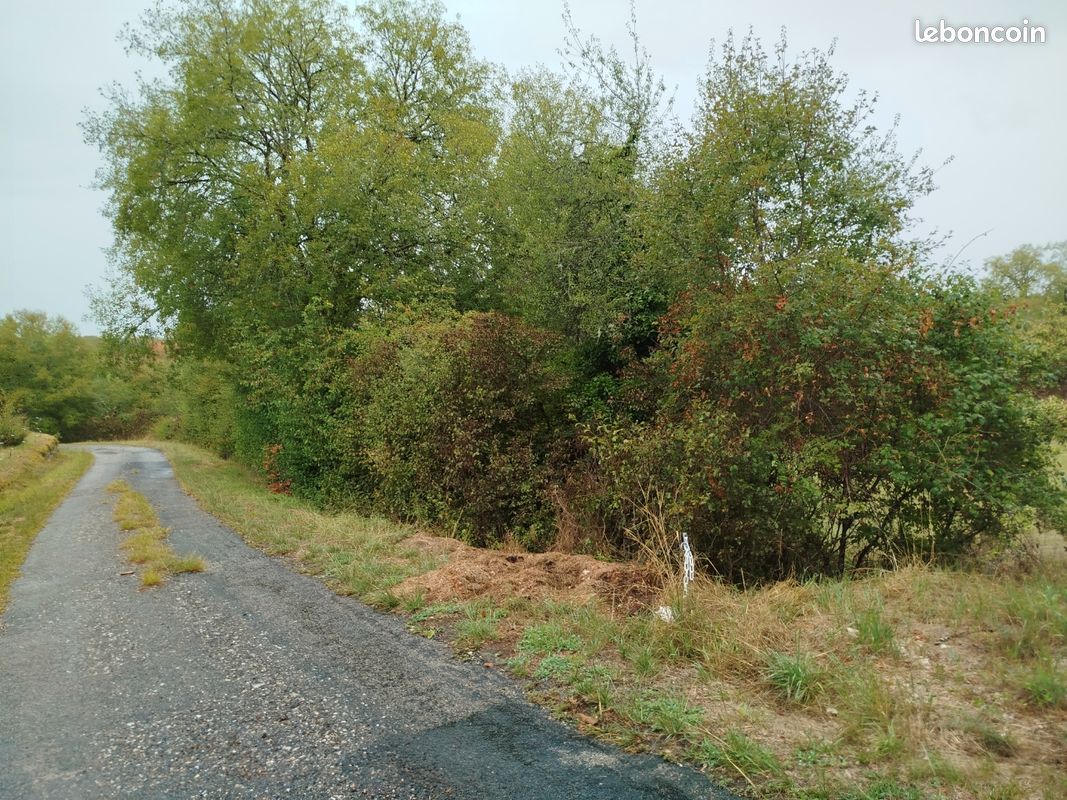 Terrain à Lot, France No. 342107