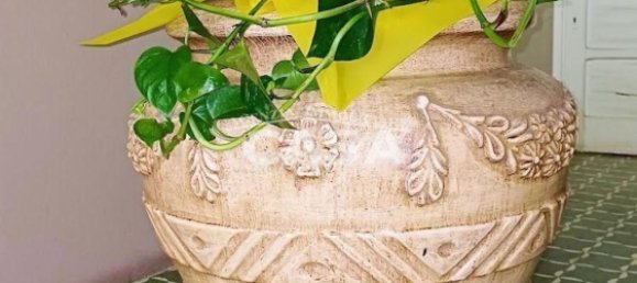 2 bedrooms Apartment in Buti, Italy No. 348202 24