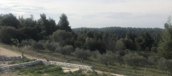 3 bedrooms Villa in Chalkidiki, Greece No. 3209 12